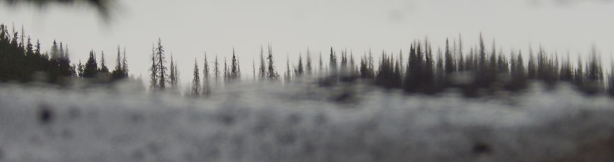 I'm An Amateur Photographer Looking For Constructive Criticism