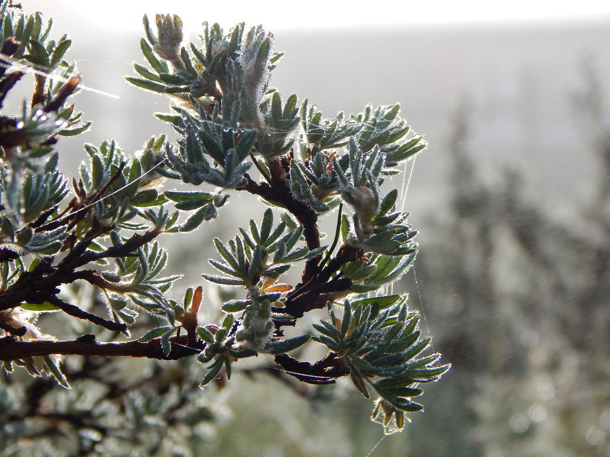 I'm An Amateur Photographer Looking For Constructive Criticism