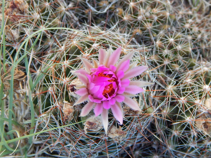 I'm An Amateur Photographer Looking For Constructive Criticism