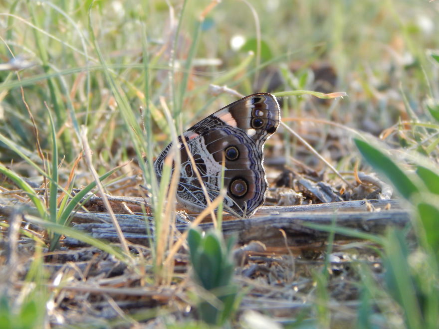 I'm An Amateur Photographer Looking For Constructive Criticism