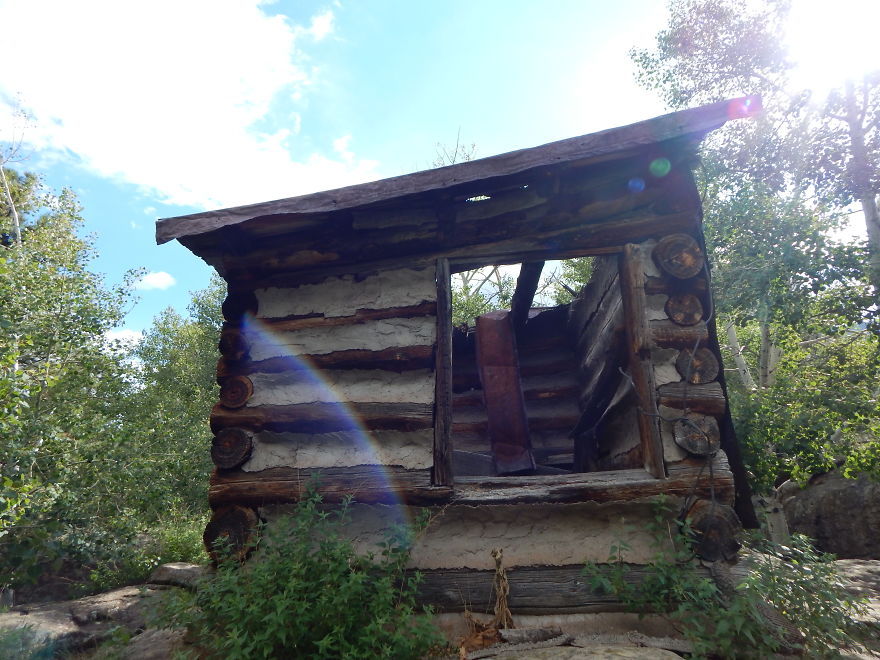 I'm An Amateur Photographer Looking For Constructive Criticism