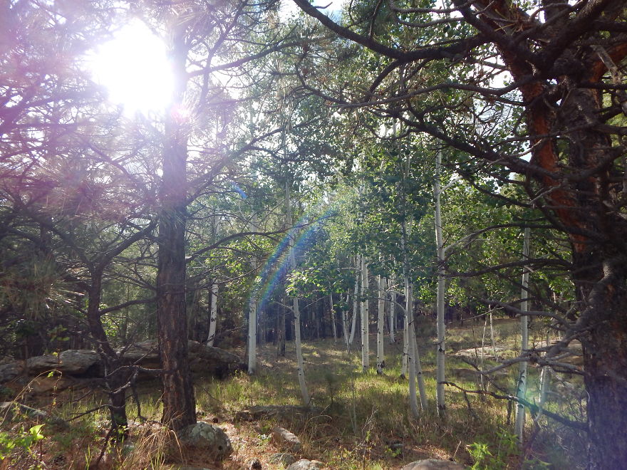 I'm An Amateur Photographer Looking For Constructive Criticism