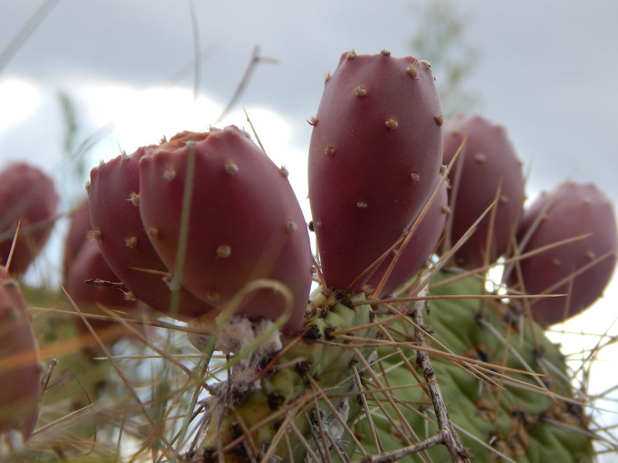 I'm An Amateur Photographer Looking For Constructive Criticism