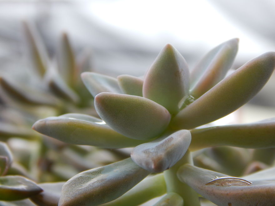 I'm An Amateur Photographer Looking For Constructive Criticism