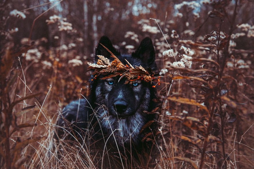 When My Circle Got Smaller, My Visions Got Clearer. There's Strength In Loyalty, Not Numbers