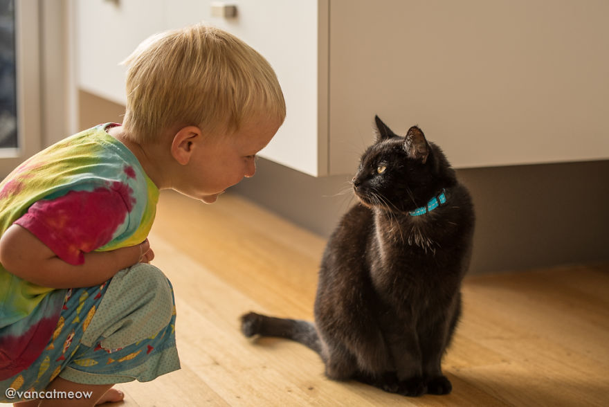 I Spent Over 3 Years Traveling With My Cat In A Campervan I Spent Over 3 Years Traveling With My Cat In A Campervan