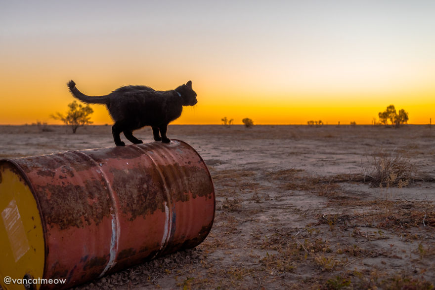 I Spent Over 3 Years Traveling With My Cat In A Campervan I Spent Over 3 Years Traveling With My Cat In A Campervan