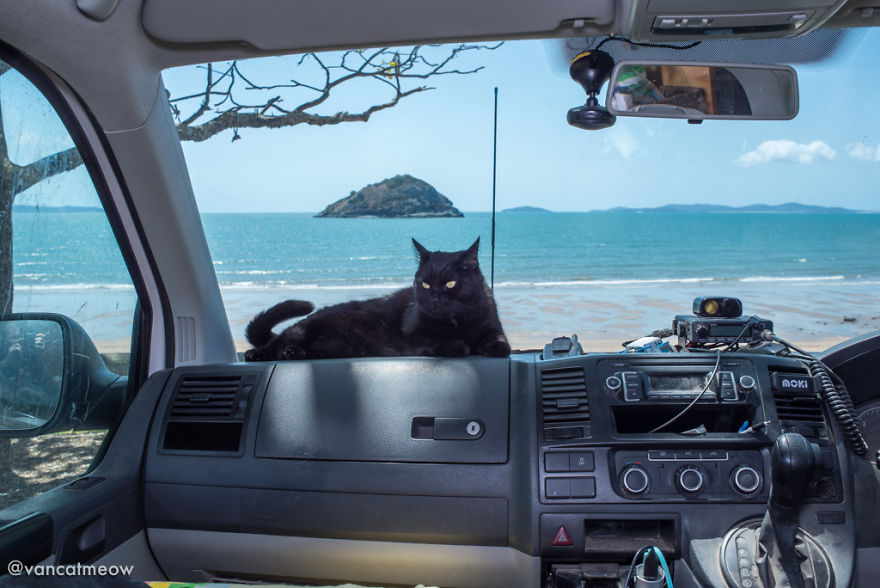 I Spent Over 3 Years Traveling With My Cat In A Campervan I Spent Over 3 Years Traveling With My Cat In A Campervan