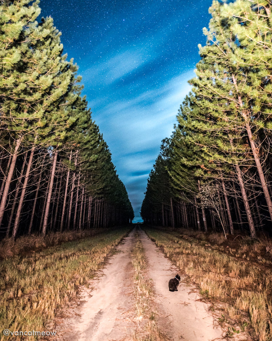 I Spent Over 3 Years Traveling With My Cat In A Campervan I Spent Over 3 Years Traveling With My Cat In A Campervan