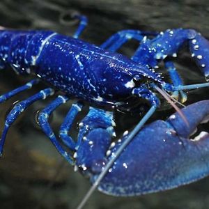 julianna_muzyczyszyn avatar