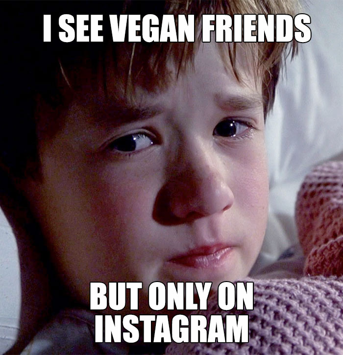 Vegan Memes