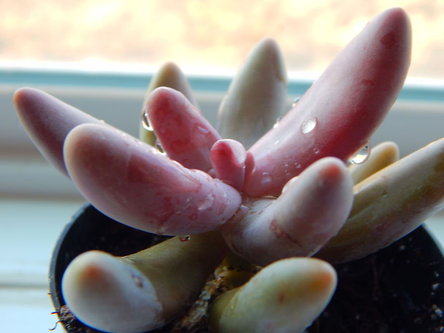 I'm An Amateur Photographer Looking For Constructive Criticism