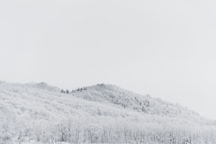 A Winter's Dance - Japan's Red Crowned Cranes A Winter's Dance - Japan's Red Crowned Cranes