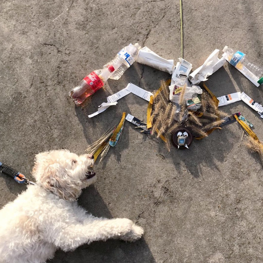 After My Picture Went Viral I Knew That I Needed To Make More Art From The Litter That I Find After My Picture Went Viral I Knew That I Needed To Make More Art From The Litter That I Find