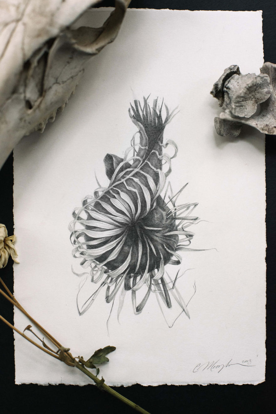 I Made A Book Of Vulnerable Drawings And Poems About Depression As A Reminder That We Are Not Alone