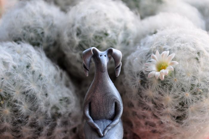 These Little Fantasy Creatures Will Put A Smile On Your Face