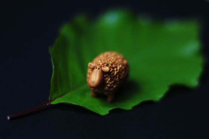 These Little Fantasy Creatures Will Put A Smile On Your Face