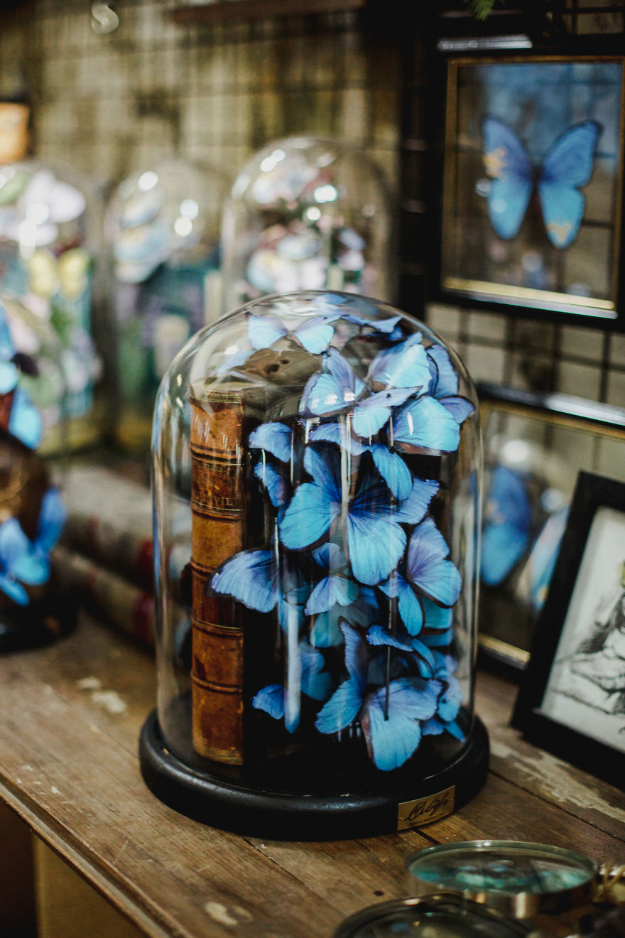 I Create Butterflies Out Of Paper Sheets In Memory Of My Grandmother I Create Butterflies Out Of Paper Sheets In Memory Of My Grandmother