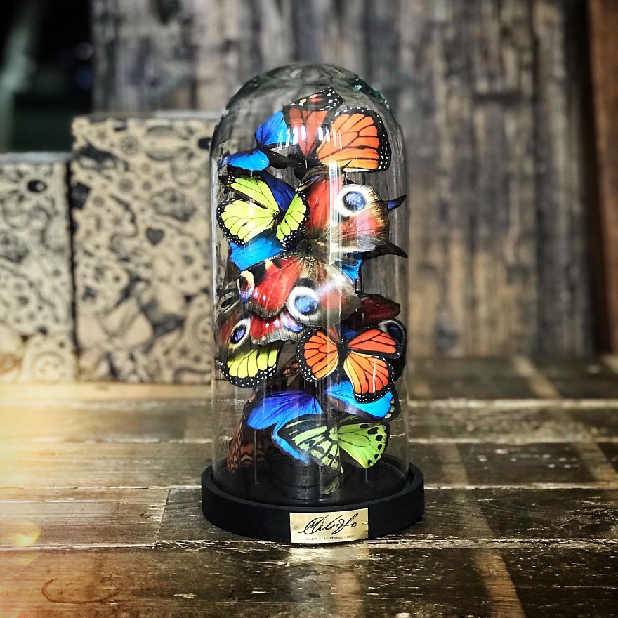 I Create Butterflies Out Of Paper Sheets In Memory Of My Grandmother I Create Butterflies Out Of Paper Sheets In Memory Of My Grandmother