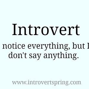 maelynnakright avatar