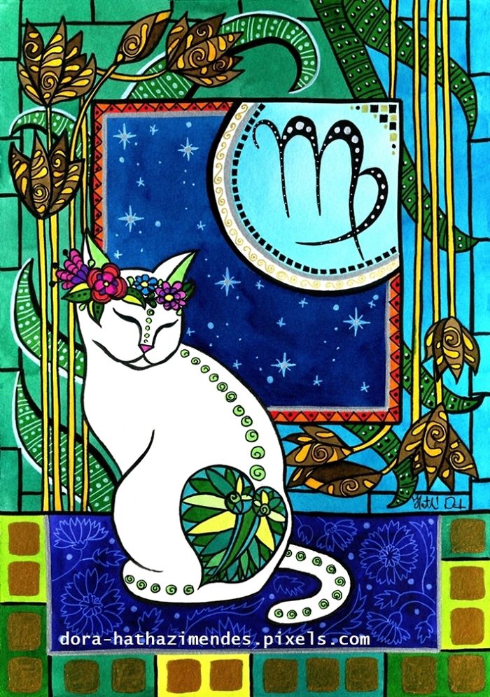 Virgo Cat Zodiac