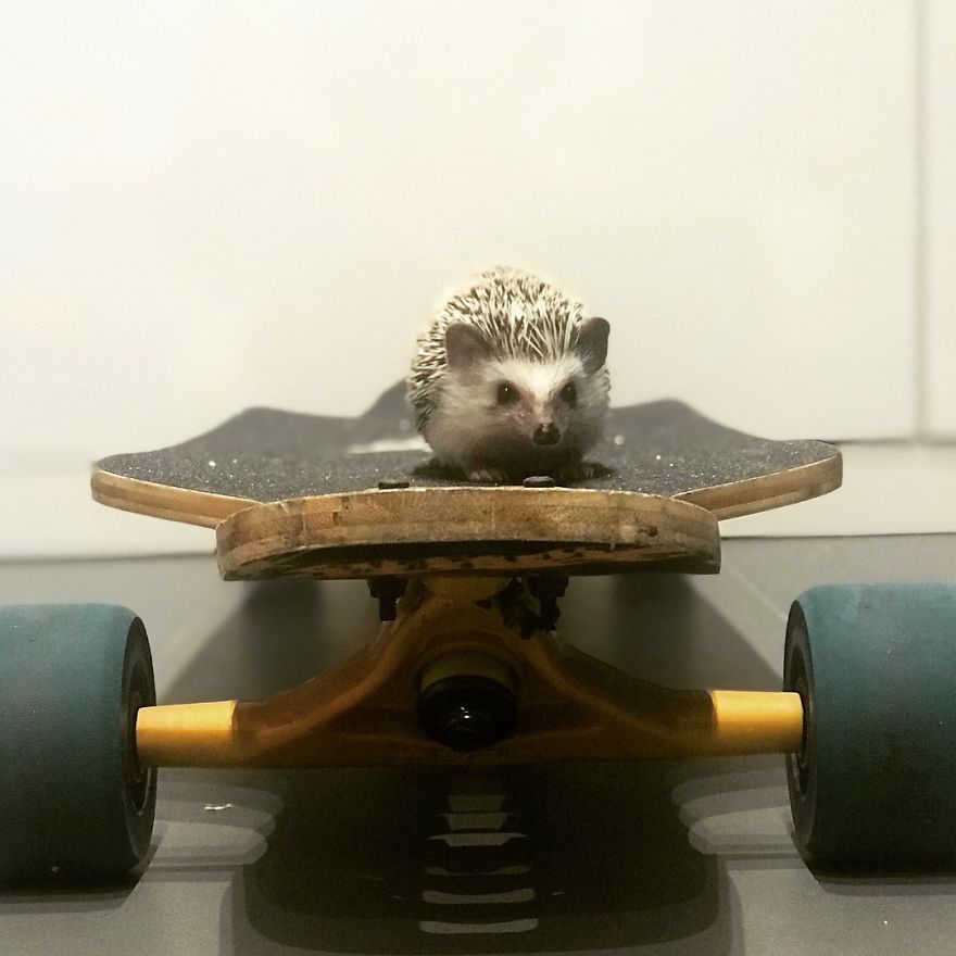 Best Longboarder Ever