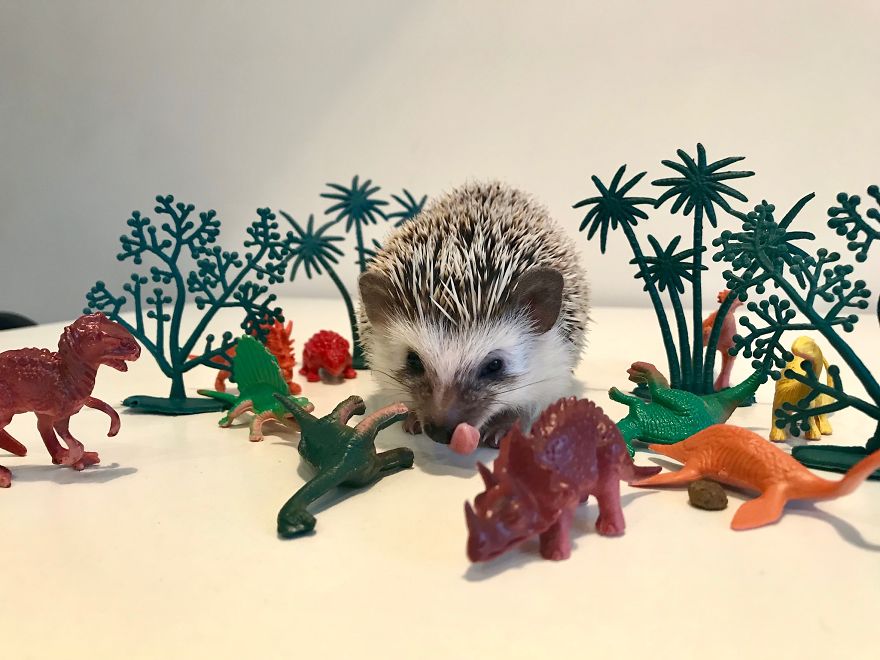 The Real Reason Why Dinosaurs Disappeared