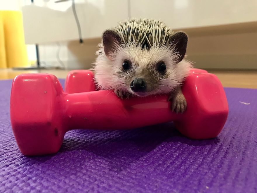 Rick Knows How To Keep Fit