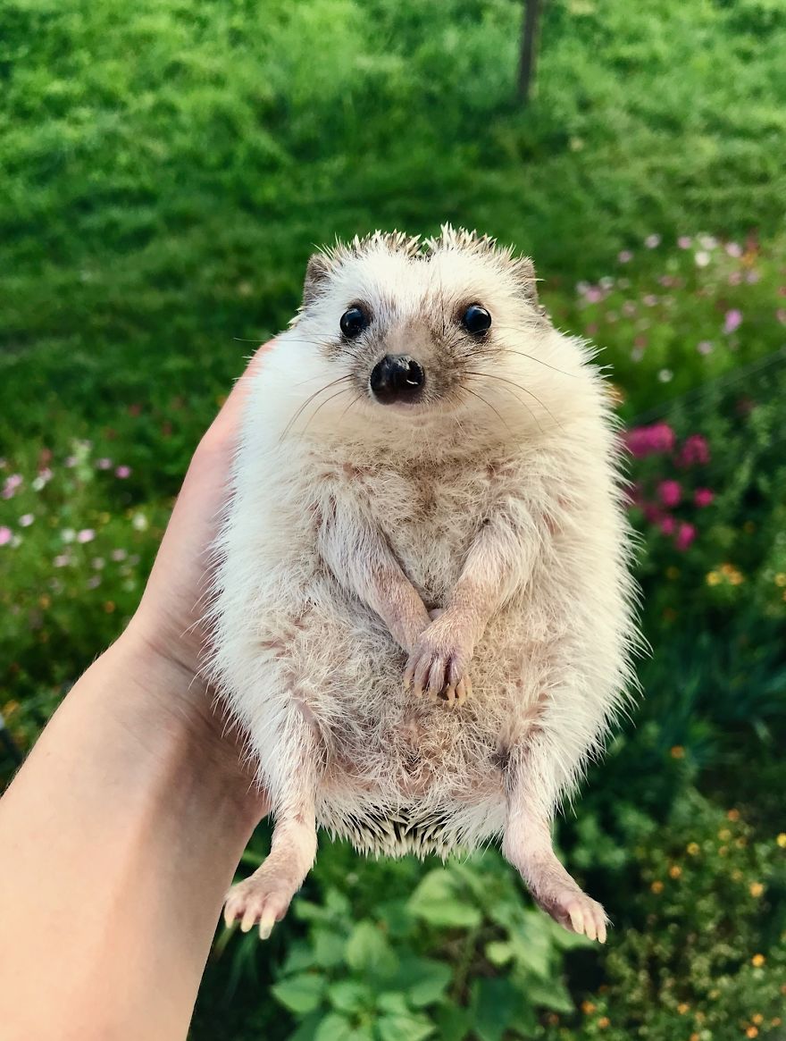 Just A Little Bit Shy