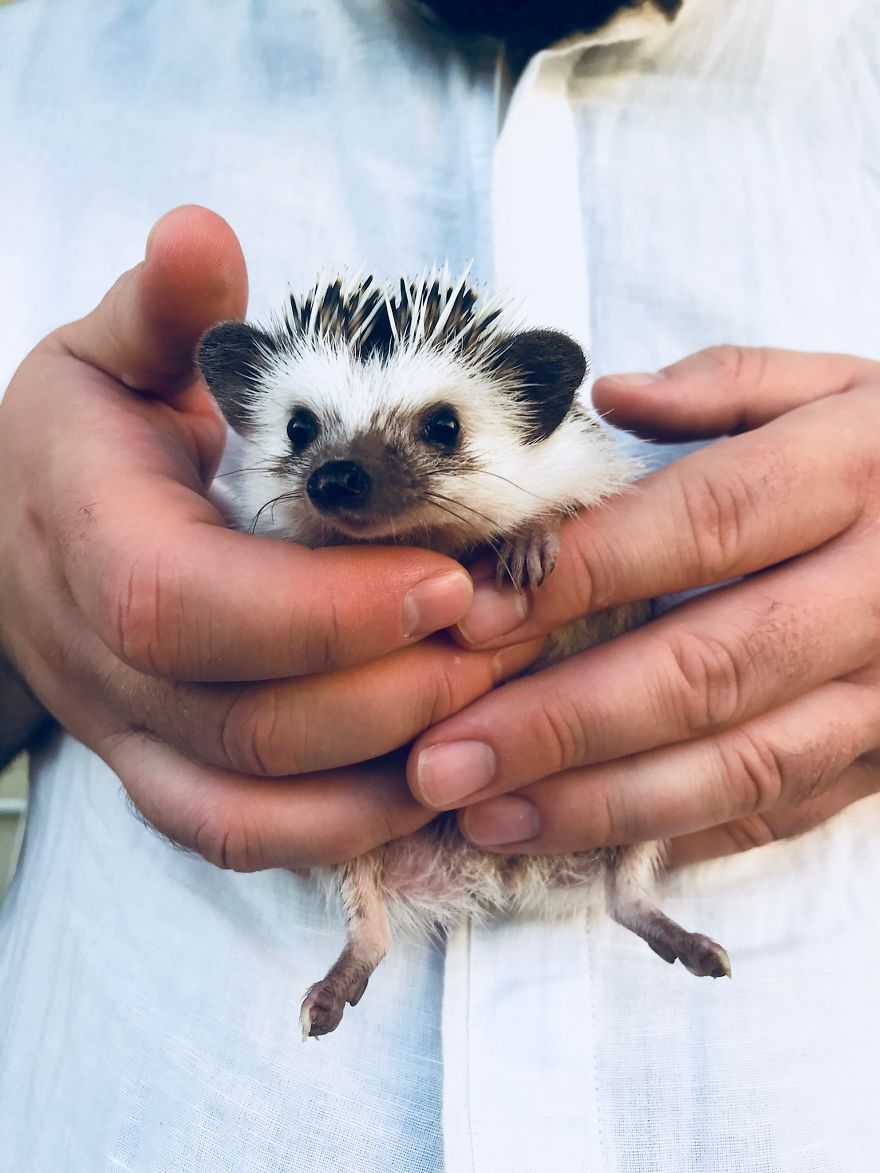 Comfort Level - 100%