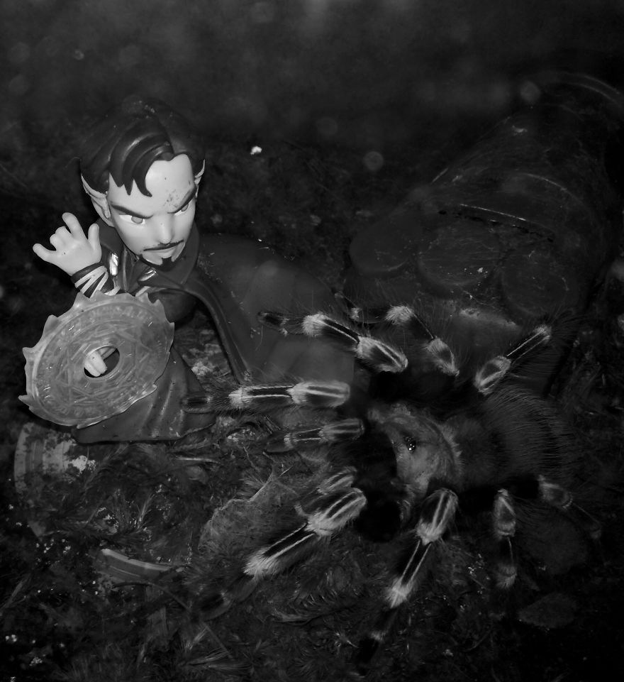 Pets For Heroes Pets For Heroes