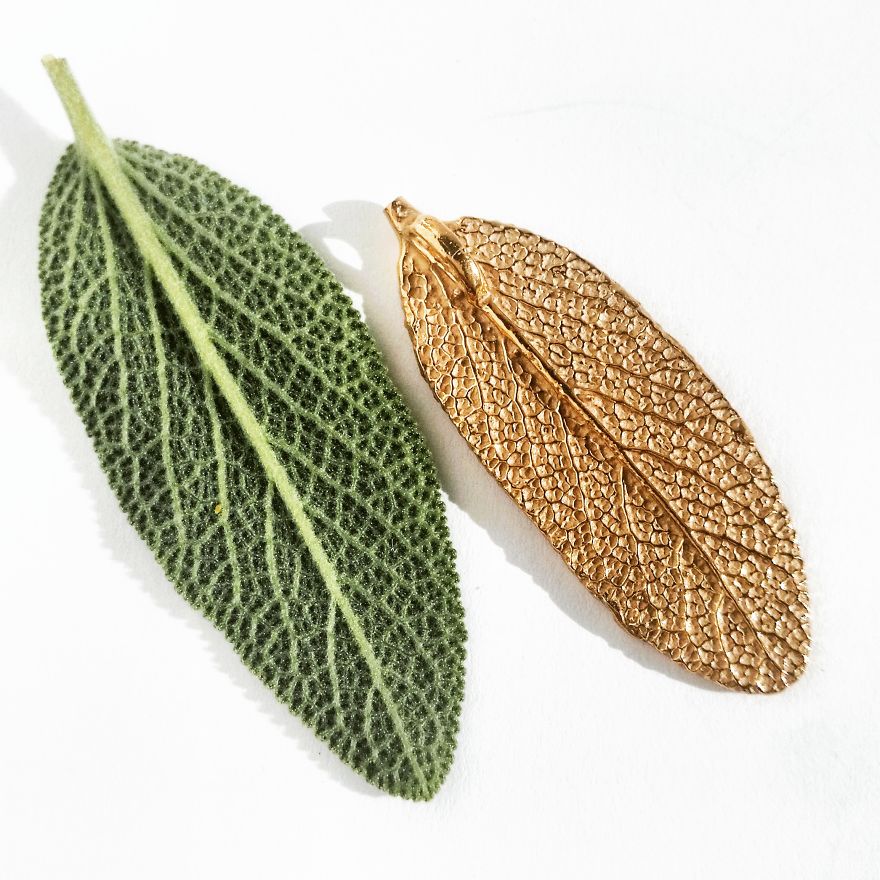 Floios Sustainable Jewelry 100% Designed By Nature