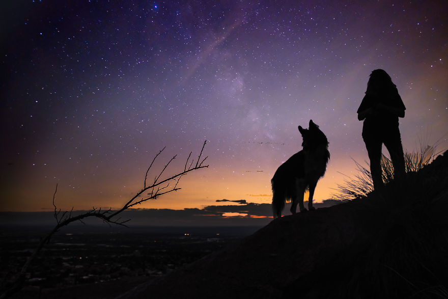 I Make Magical Dog Photo Edits