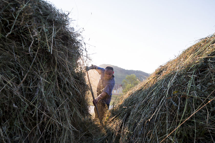 I Have Been Looking For Dracula In Transylvania, But I Found This Instead