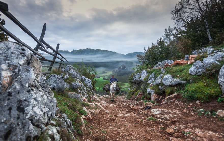 I Have Been Looking For Dracula In Transylvania, But I Found This Instead