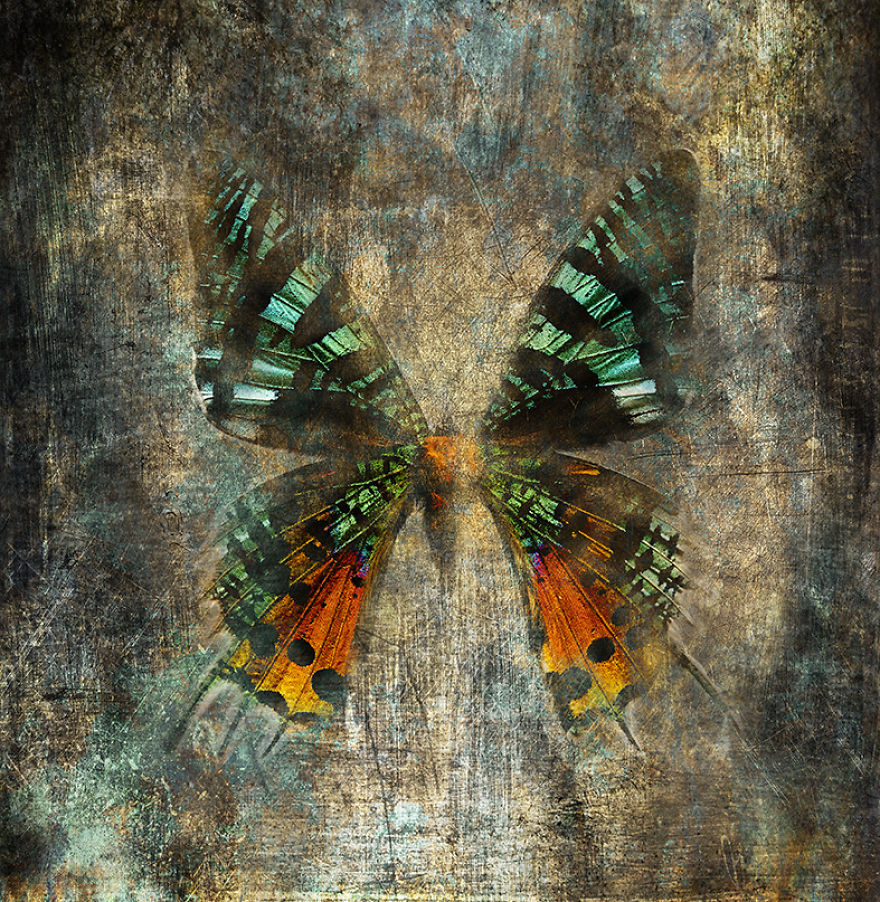 I Combine The Oldest Type Of Photography With Modern Technology Creating A New Technique Dagegraphy