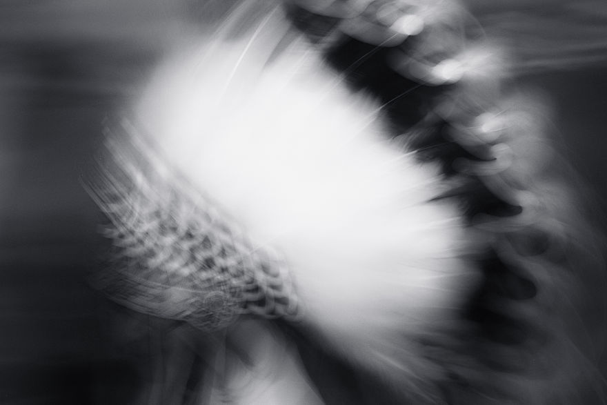 My Photos Capture The Resilient Spirit Of The Indigenous People Of Brazil. Now Brazil's New President Threatens To Destroy Their Land And Their Lifestyle My Photos Capture The Resilient Spirit Of The Indigenous People Of Brazil. Now Brazil's New President Threatens To Destroy Their Land And Their Lifestyle