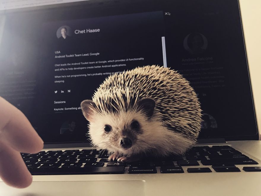 "I’m Just Going To Sit Here And Look Cute, Ok?"