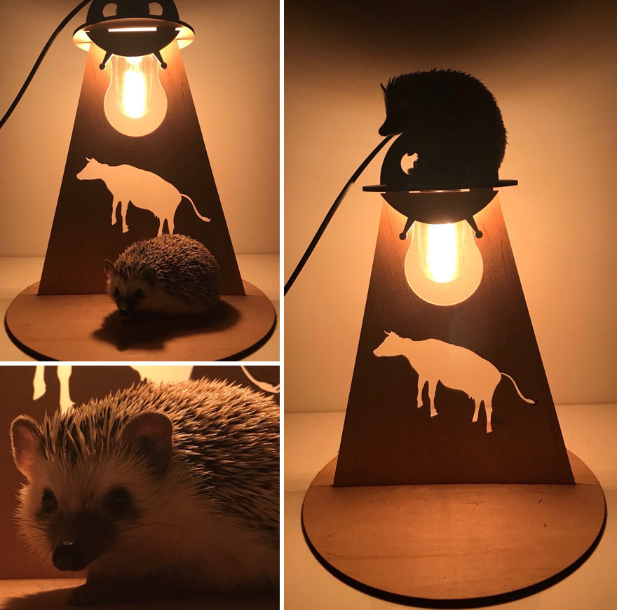 Alien Rick Steals A Cow