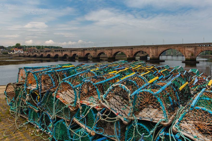 Mermen For Mind Mermen For Mind