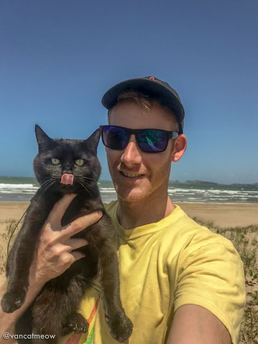 I Spent Over 3 Years Traveling With My Cat In A Campervan
