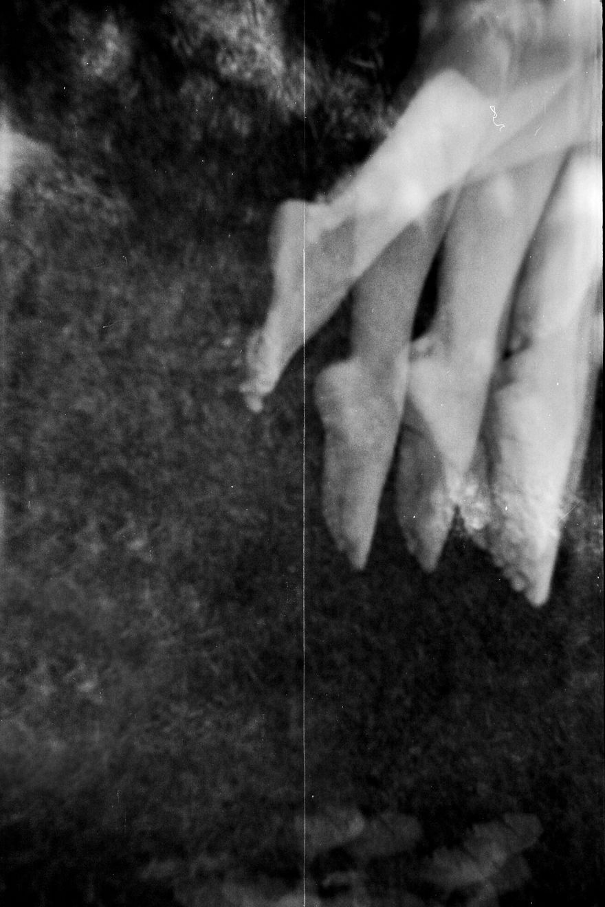 My Vision Of Double Exposure