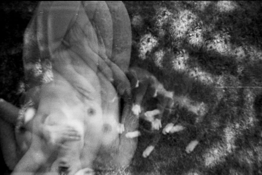 My Vision Of Double Exposure