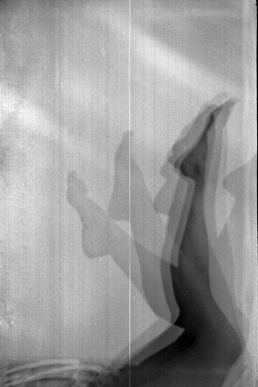 My Vision Of Double Exposure My Vision Of Double Exposure