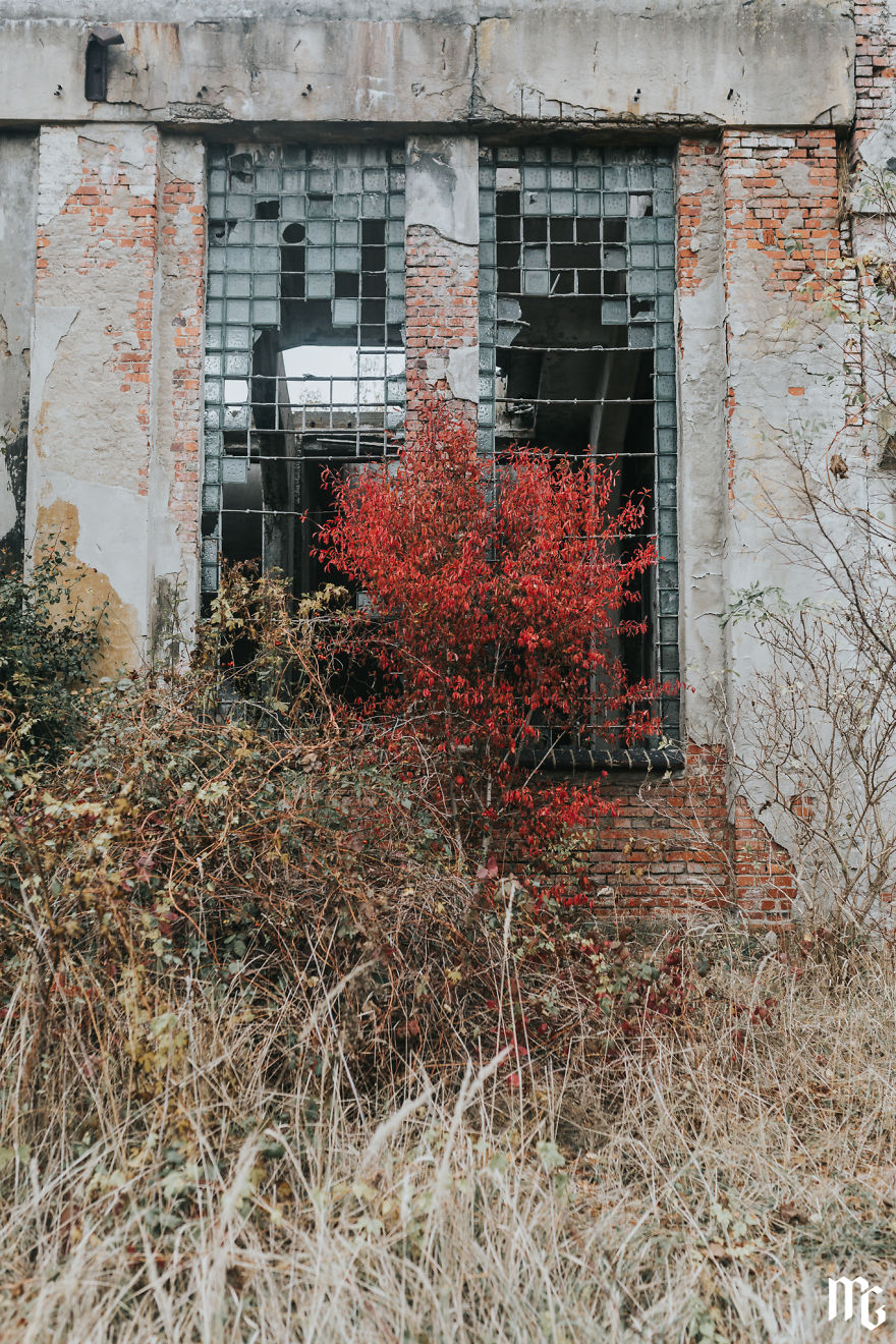 We Spend All Day On Urbex In An Old Paper Factory
