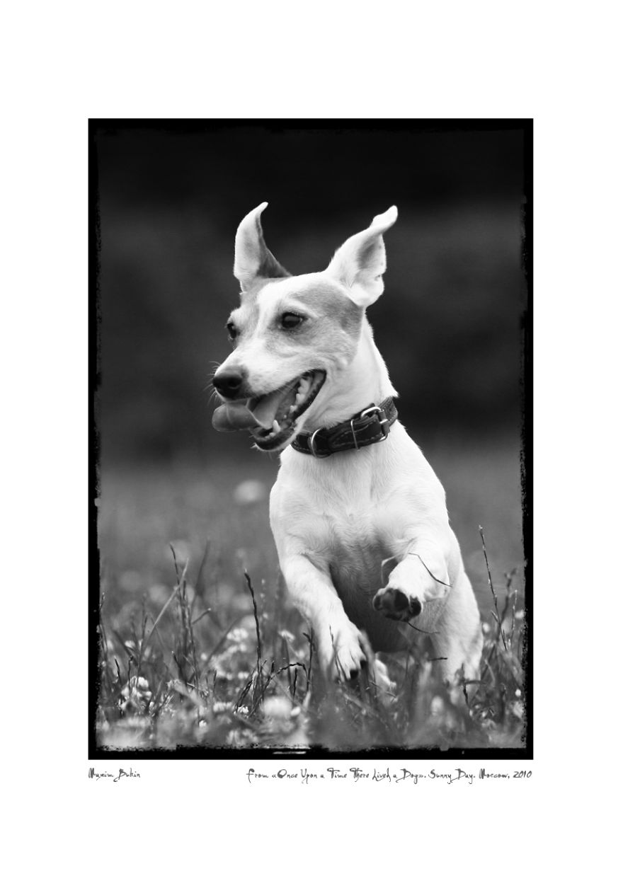 Sunny Day (3 Jul. 2010)