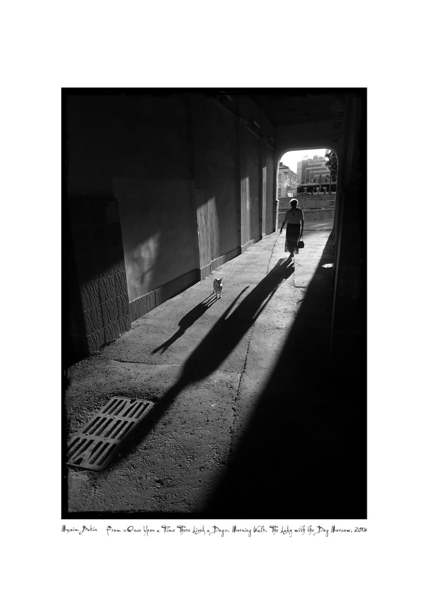 Morning Walk. The Lady With The Dog (2 Aug. 2018)