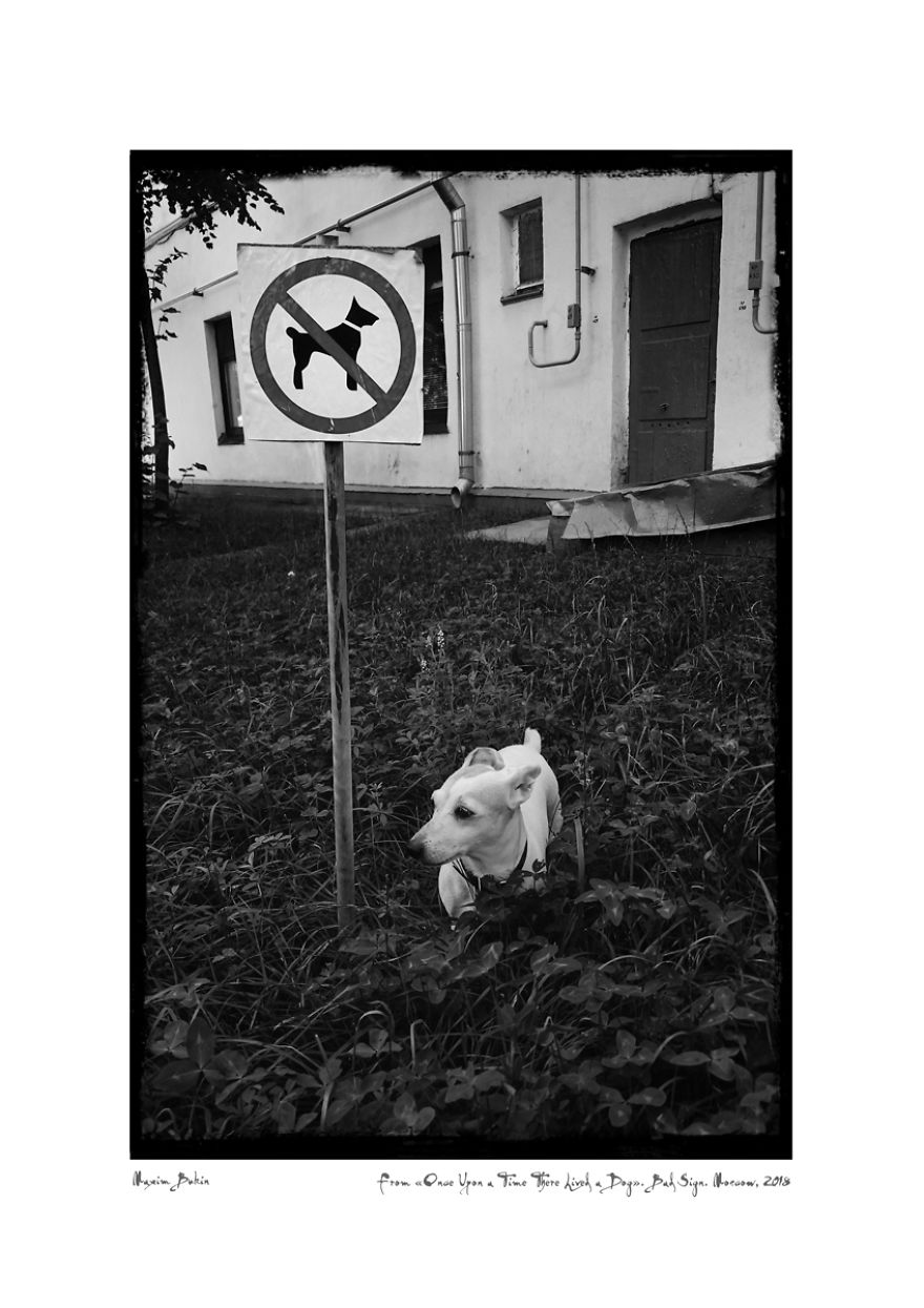 Bad Sign (31 Jul. 2018)