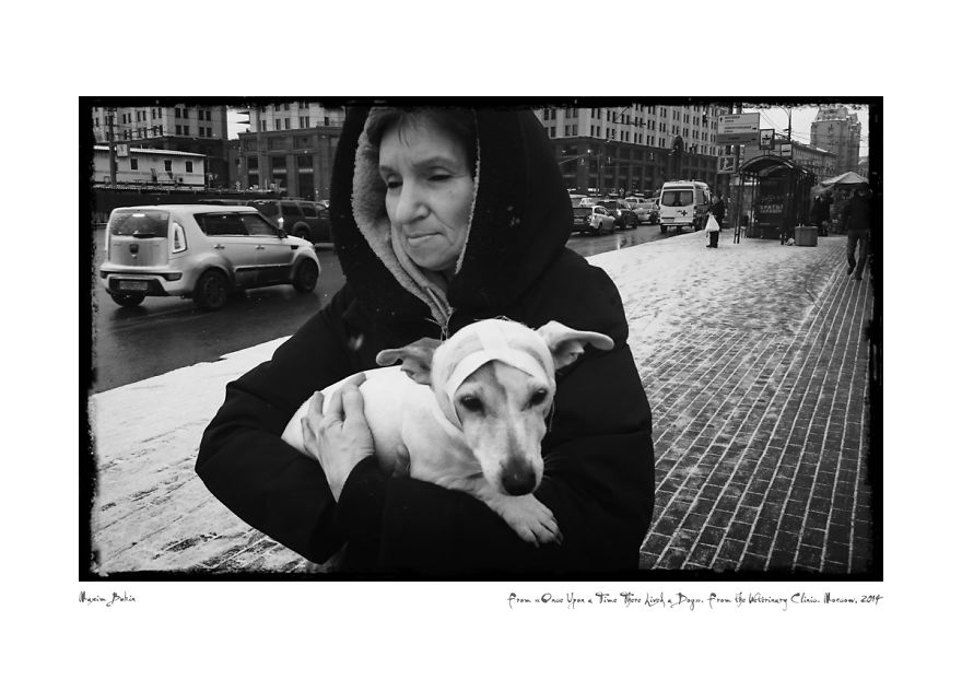 From The Veterinary (2 Dec 2014)