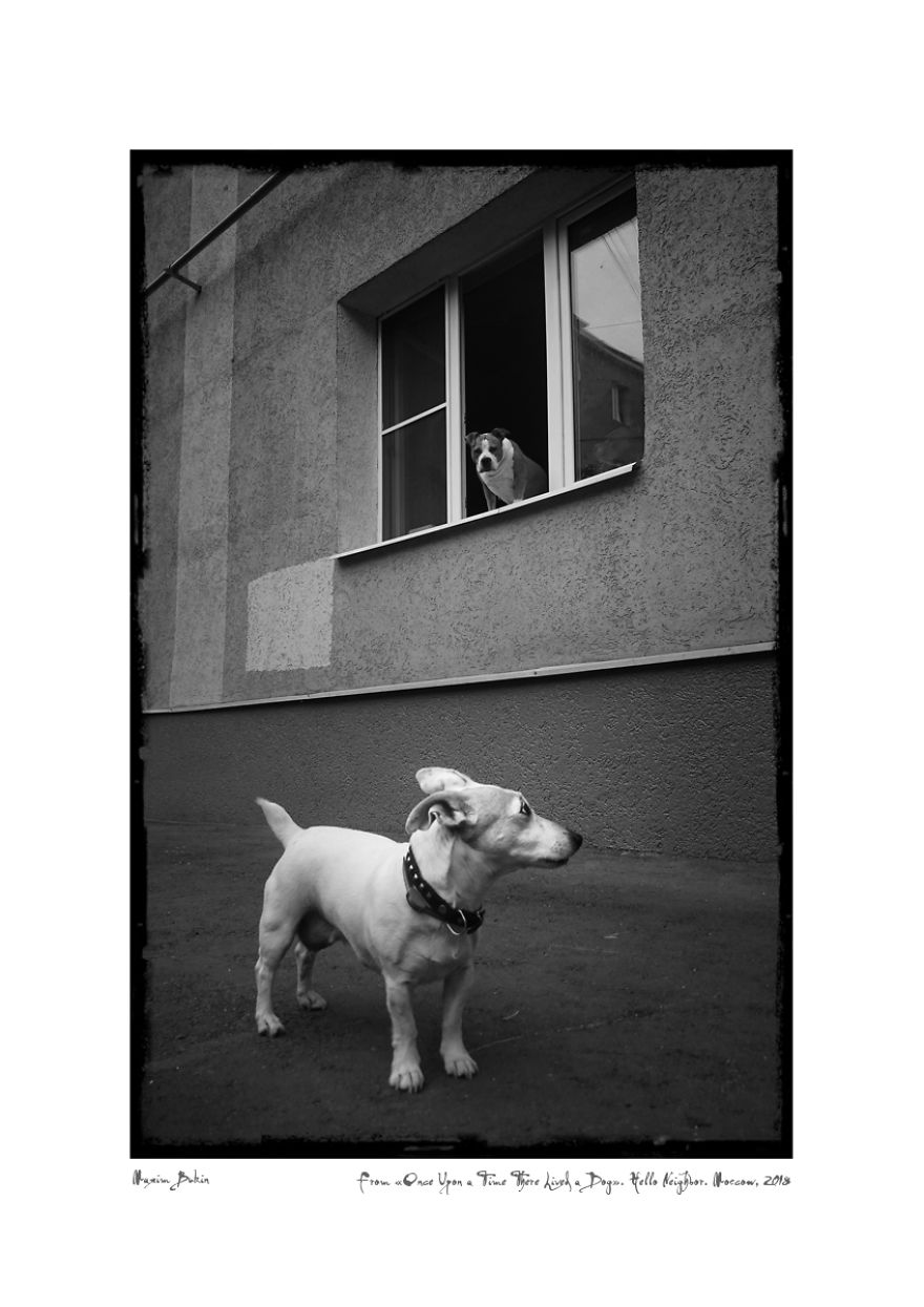 Hello Neighbor (26 Jul. 2018)